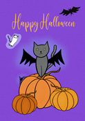 Chat espi&egrave;gle sur citrouille d'Halloween